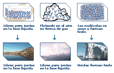 Interacción de las moléculas en los distintos estados del agua