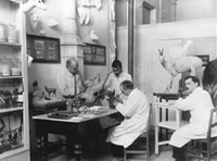 Hermanos Benedito Vives en el Laboratorio de Taxidermia